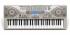 Casio CTK-900 Синтезатор инструкция, поддержка, форум, описание, мануал
