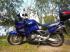 Honda XL1000VA Varadero Мотоцикл инструкция, поддержка, форум, описание, мануал