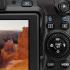 Canon PowerShot G12 Цифровые Фотоаппараты Более 16 Мпикс инструкция, поддержка, форум, описание, мануал