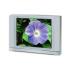 Panasonic TX-29PS70T Телевизор инструкция, поддержка, форум, описание, мануал