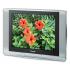Panasonic TX-29FJ20T Телевизор инструкция, поддержка, форум, описание, мануал
