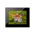 Viewsonic VFM843-51E Black Цифровые Фоторамки инструкция, поддержка, форум, описание, мануал