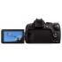 Canon POWERSHOT SX1 IS Цифровая Фотокамера инструкция, поддержка, форум, описание, мануал