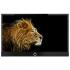 Loewe Connect ID 32 51462W64 Black+Black Телевизор инструкция, поддержка, форум, описание, мануал