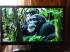 LG SMART TV 42LV3700 Телевизор Smart Tv инструкция, поддержка, форум, описание, мануал