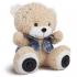Texet TPA-3009 Bear Beige + Аудиокнига Портативные Аудиосистемы инструкция, поддержка, форум, описание, мануал