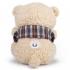 Texet TPA-3009 Bear Beige + Аудиокнига Портативные Аудиосистемы инструкция, поддержка, форум, описание, мануал