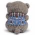 Texet TPA-3009 Bear Gray + Аудиокнига Портативные Аудиосистемы инструкция, поддержка, форум, описание, мануал