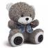 Texet TPA-3009 Bear Gray + Аудиокнига Портативные Аудиосистемы инструкция, поддержка, форум, описание, мануал