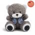 Texet TPA-3009 Bear Gray + Аудиокнига Портативные Аудиосистемы инструкция, поддержка, форум, описание, мануал