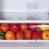 Indesit DFE 4200 S Холодильник инструкция, поддержка, форум, описание, мануал