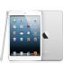 Apple iPad mini 16Gb Wi-Fi White (MD531RS/A) Планшет инструкция, поддержка, форум, описание, мануал