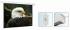 Screenmedia GoldView 244х244 HCG рабочая поверхность 236х132 Экран настенный инструкция, поддержка, форум, описание, мануал