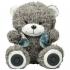 Ritmix ST-250 Bear BT Портативные Аудиосистемы инструкция, поддержка, форум, описание, мануал