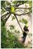 Ryobi one+ opp1820 3001250 Аккумуляторный Высоторез инструкция, поддержка, форум, описание, мануал