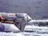 Honda BF 10 Подвесной Лодочный Мотор инструкция, поддержка, форум, описание, мануал