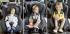 Britax Roemer dualfix steel grey Автокресло инструкция, поддержка, форум, описание, мануал