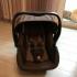 Britax Roemer primo + база wood brown Автокресло инструкция, поддержка, форум, описание, мануал