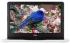 Dell Inspiron 5565, 5565-8055 Ноутбук инструкция, поддержка, форум, описание, мануал