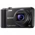 Sony CyberShot DSC-H70 Black Компактные Цифровые Фотоаппараты инструкция, поддержка, форум, описание, мануал