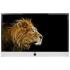 Loewe Connect ID 40 51463Y84 White+Black HGL Телевизоры инструкция, поддержка, форум, описание, мануал