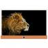 Loewe Connect ID 40 51463J84 Orange+White HGL Телевизоры инструкция, поддержка, форум, описание, мануал