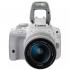 Canon EOS 100D EF-S 18-55 IS STM+сумка Stella McCartney Зеркальные Фотоаппараты инструкция, поддержка, форум, описание, мануал