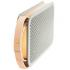 Bang & Olufsen BeoPlay A2 Gray Портативная Акустика инструкция, поддержка, форум, описание, мануал