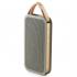 Bang & Olufsen BeoPlay A2 Gray Портативная Акустика инструкция, поддержка, форум, описание, мануал