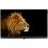 Loewe Bild 3.40 Light Grey (56458S80) Телевизоры инструкция, поддержка, форум, описание, мануал