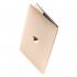 Apple MacBook 12 Core M7 1.3/8/512SSD Gold (Z0SS00038) Ноутбуки Apple Macbook инструкция, поддержка, форум, описание, мануал