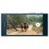 Sony Xperia XZ Dual Forest Blue (F8332) Смартфоны инструкция, поддержка, форум, описание, мануал