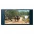 Sony Xperia XZ SS Forest Blue (F8331) Смартфоны инструкция, поддержка, форум, описание, мануал