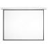Screenmedia GoldView 134" (340 см) настенно-потолочный Экран инструкция, поддержка, форум, описание, мануал