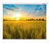 Lumien eco picture 111" (282 см) настенно-потолочный Экран инструкция, поддержка, форум, описание, мануал