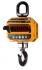 CAS Caston-III 2 THD TW-100 (TWN) Крановые весы инструкция, поддержка, форум, описание, мануал