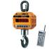 CAS Caston-III 20 THD TW-100 (TWN) Крановые весы инструкция, поддержка, форум, описание, мануал