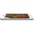 Apple iPhone 6 Plus 16Gb Silver (FGA92RU/A) восстановленный Смартфон инструкция, поддержка, форум, описание, мануал