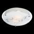 Globo Ballerina I 48090-2 Потолочный светильник инструкция, поддержка, форум, описание, мануал