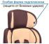 Zlatek Fregat группа 1/2/3, Brown (KRES0484) Автокресло инструкция, поддержка, форум, описание, мануал