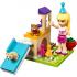 Lego Friends День рождения: велосипед (41111) Конструктор инструкция, поддержка, форум, описание, мануал