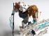 Lego Bionicle Копака – Повелитель Льда (70788) Конструктор инструкция, поддержка, форум, описание, мануал