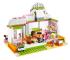 Lego Friends Фреш-бар Хартлейк Сити (41035) Конструктор инструкция, поддержка, форум, описание, мануал