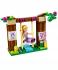 Lego Disney Princess Лучший день Рапунцель (41065) Конструктор инструкция, поддержка, форум, описание, мануал