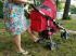 Chicco Multiway Evo прованс 7931580 Коляска инструкция, поддержка, форум, описание, мануал