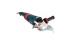 Bosch GWS 22-230 JH 601882203 Сетевая угловая шлифовальная машина инструкция, поддержка, форум, описание, мануал