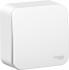 SCHNEIDER ELECTRIC BLNVA101001 Blanca Электроустановочные изделия инструкция, поддержка, форум, описание, мануал