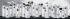 Bradford White DM-100T-250-3N (LP) Водонагреватели Газовые инструкция, поддержка, форум, описание, мануал