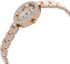 Anne Klein 2660TNGB Наручные Часы инструкция, поддержка, форум, описание, мануал