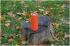 Interstep SBS-180 Orange IS-LS-SBS180RBF-000B201 Портативная Колонка инструкция, поддержка, форум, описание, мануал